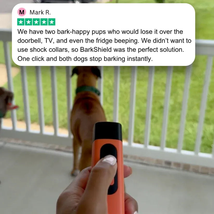 Rechargeable Anti Dog Bark