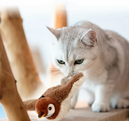 Cat Bird Toys