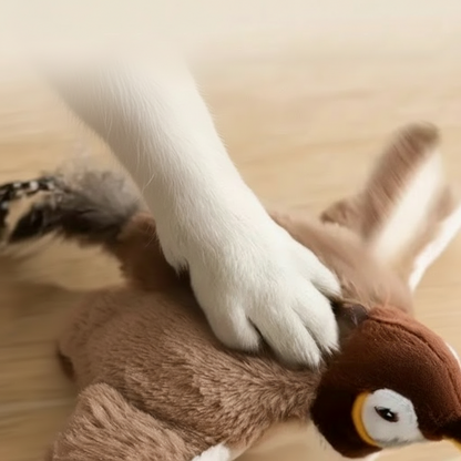 Cat Bird Toys