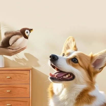 Cat Bird Toys