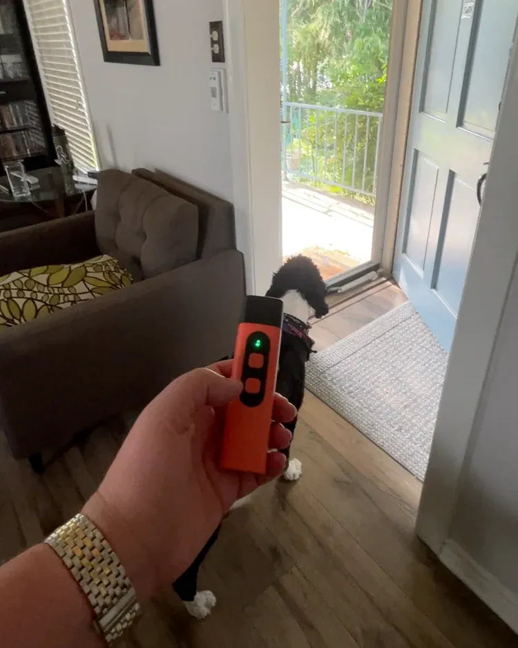 Rechargeable Anti Dog Bark