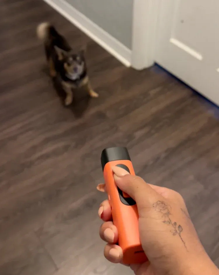 Rechargeable Anti Dog Bark