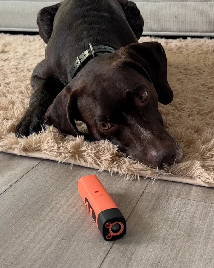 Rechargeable Anti Dog Bark