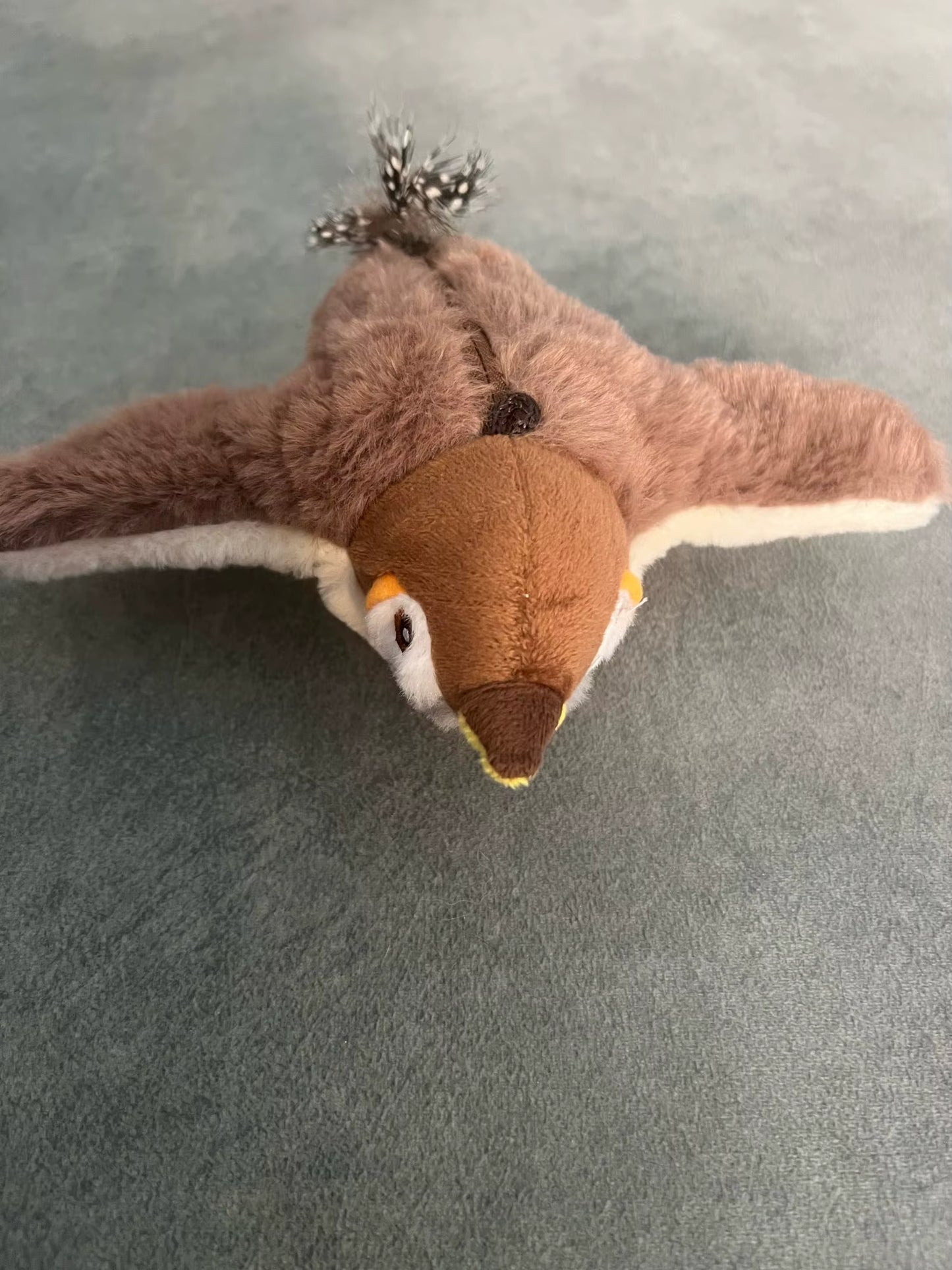 Cat Bird Toys