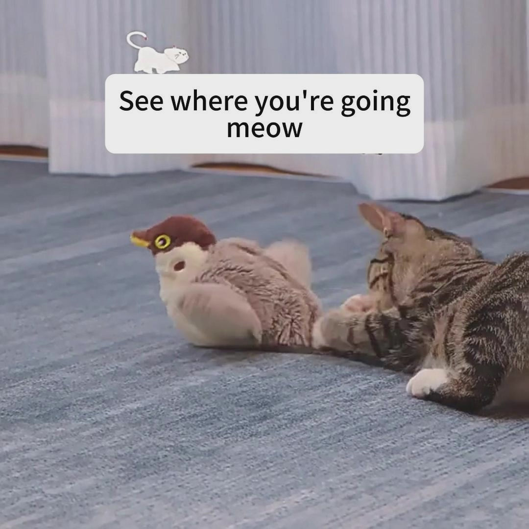 Cat Bird Toys