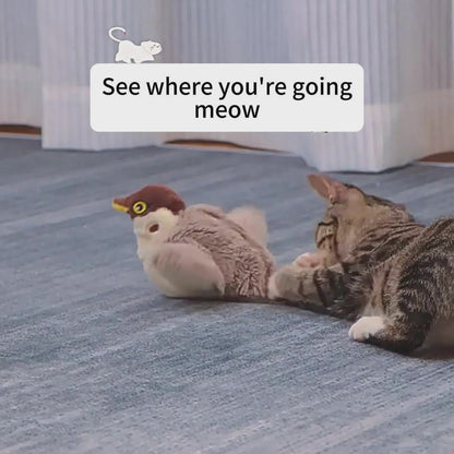 Cat Bird Toys