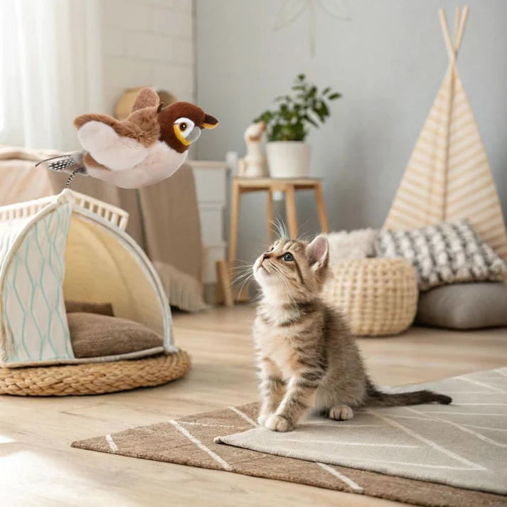 Cat Bird Toys