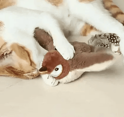 Cat Bird Toys